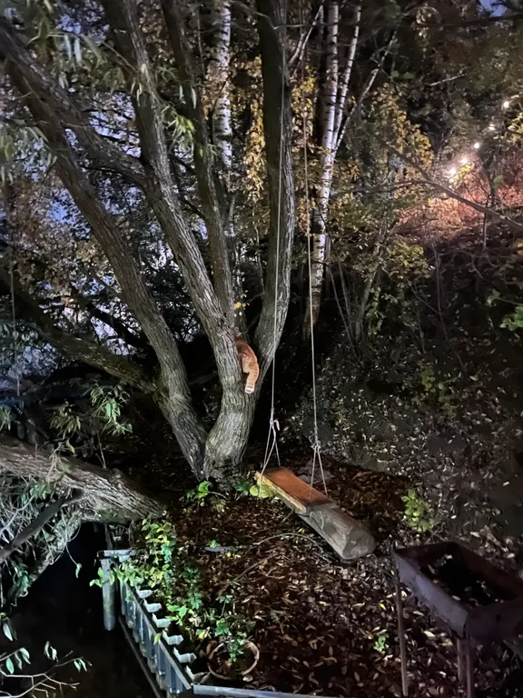 Коттедж Дом на воде с шикарным видом на большую воду и нереальные закаты — Подрезово