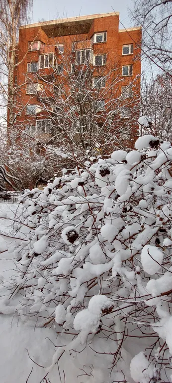 Большая квартира на Ольгином пруду.