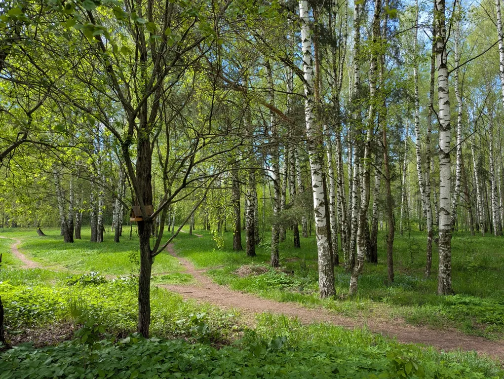 Квартира Квартира Лучшее времяпровождение в нашей чистой, комфортной, уютной квартире — Ярославль