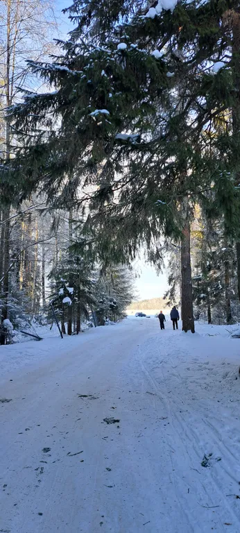 Дом в дубах