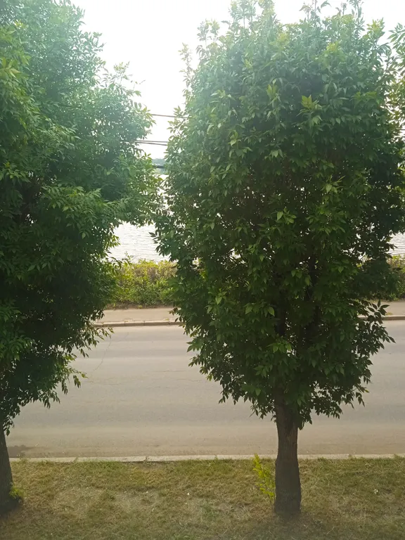 Квартира Квартира с видом на реку Волгу — Кострома