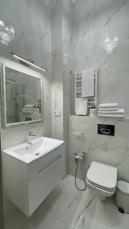 Апартаменты-студия в особняке XIX века