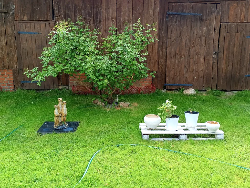 Коттедж Дом на Куршской косе — Рыбачий