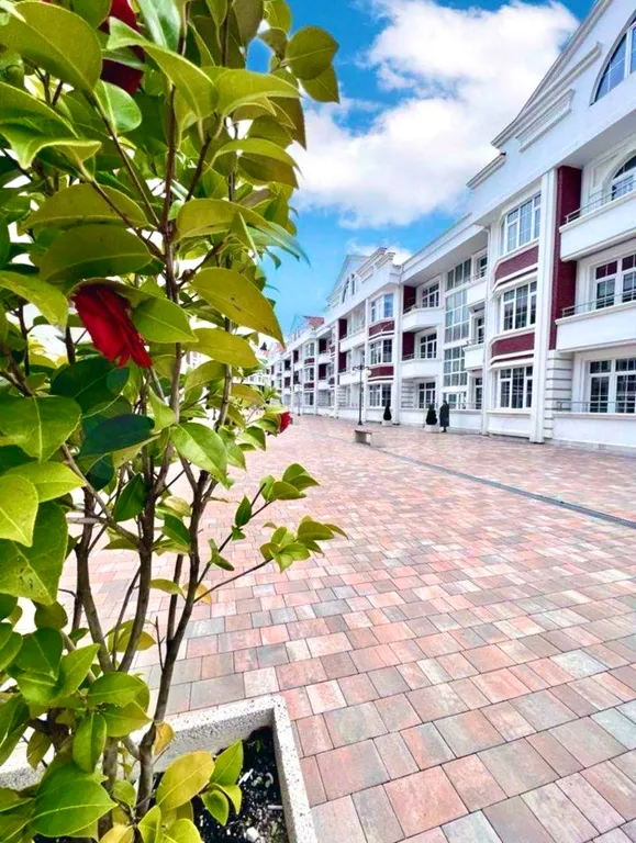 Квартира Уютная квартира — Адлер