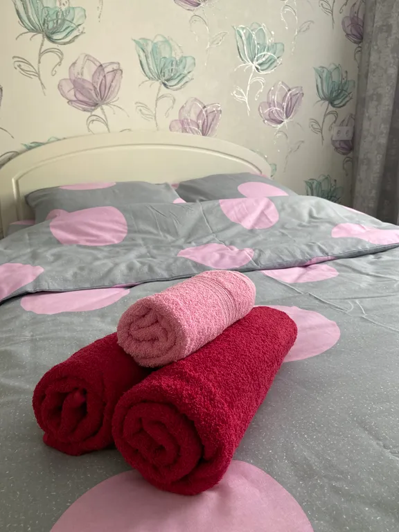 Уютная квартира рядом с ДС Олимпийский