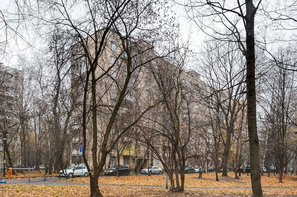 Квартира Уютная квартира прямо в парке — Москва