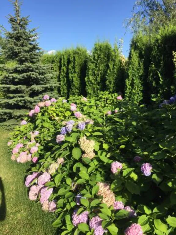 Коттедж Уютный домик с баней на Можайском Море — Можайск