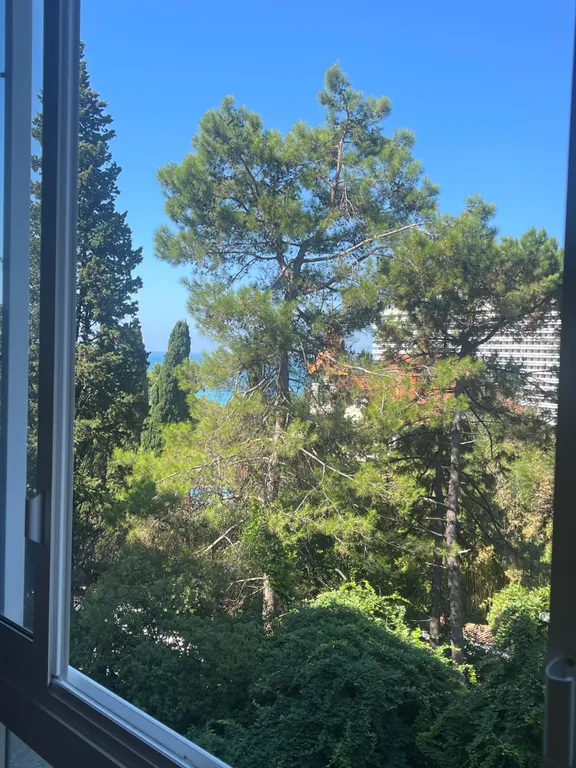 Квартира Уютная квартира студия с видом на море — Сочи