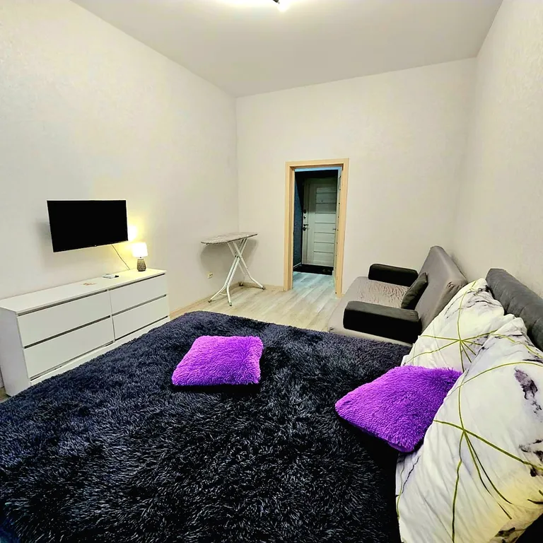 Уютная однокомнатная квартира