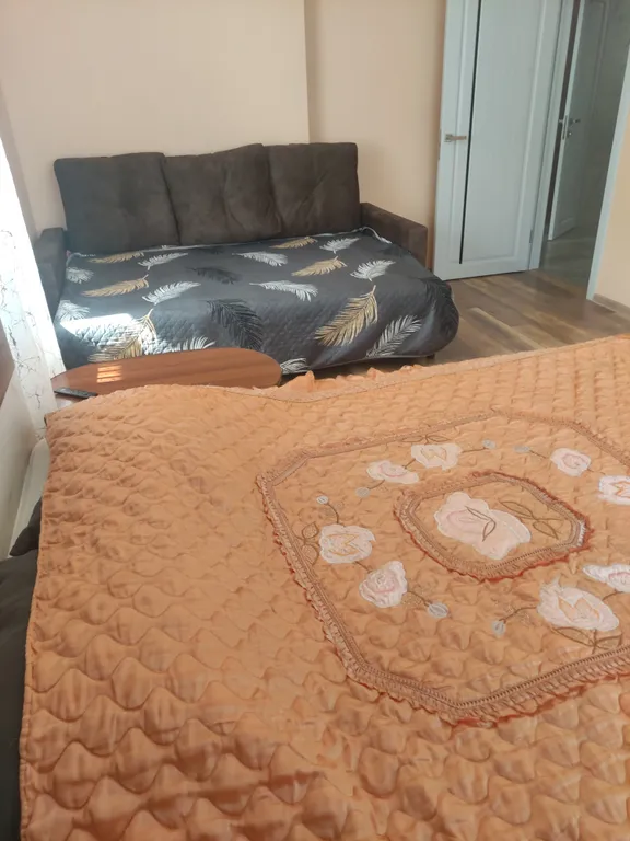 Стильная двухкомнатная квартира на Заельцовской