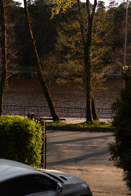 Особняк на берегу Тихого озера