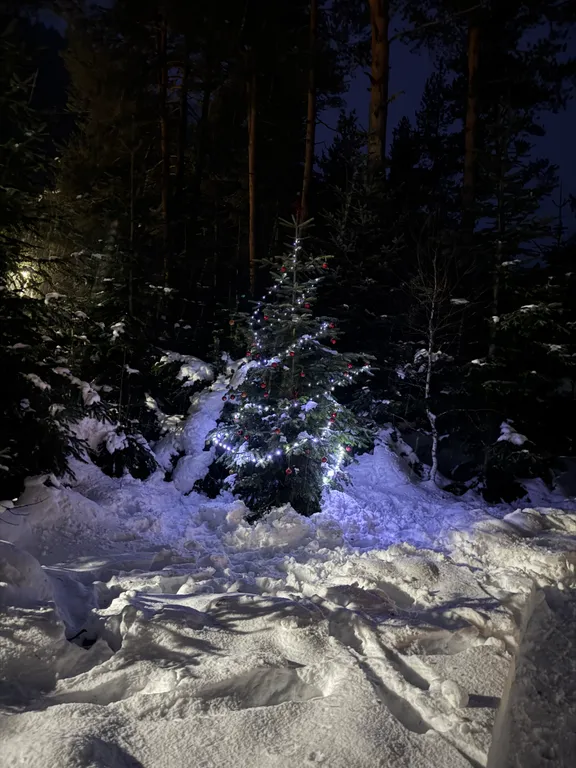 Коттедж 2-комнатный Дом — Архыз