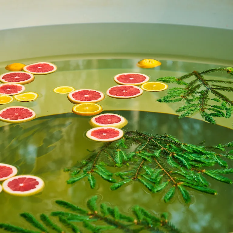 Домик в Соснах с сауной и банным чаном