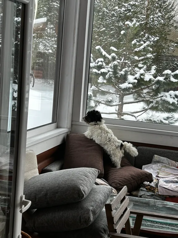 Коттедж Уютный коттедж у озера Донцо, Баня.Гриль-зона.Памятник природы. — Волосово