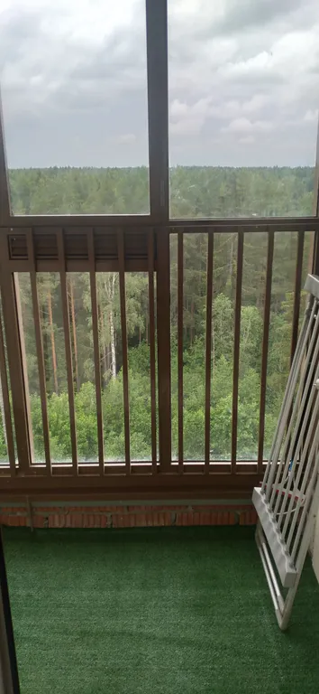 Уютная квартира с видом на лес и залив