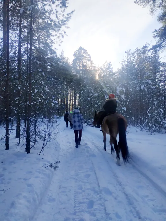 Коттедж Уютный дом с панорамным видом на лес — Луга