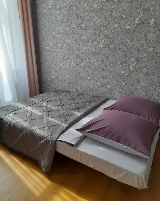 Квартира с видом на Выборгский замок