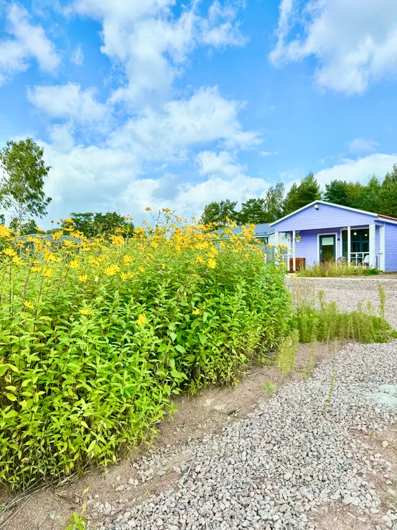 Дом на берегу первой линии