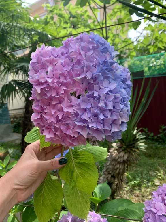 Коттедж Коттедж Голицино — Сочи