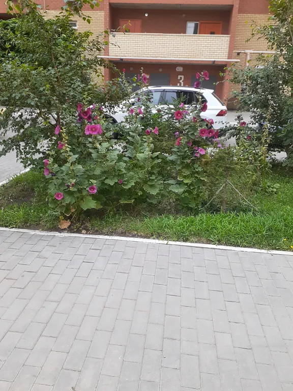 Уютная квартира в новостройке