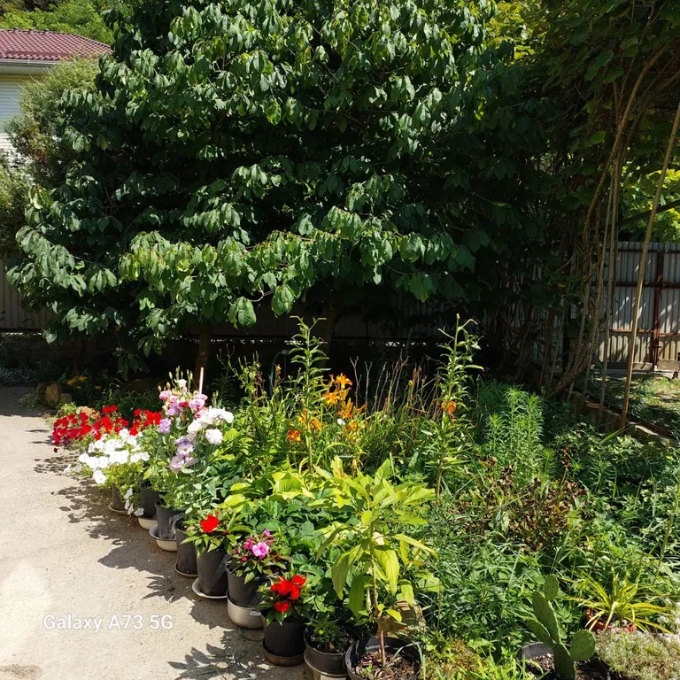 Уютный дом для семейного отдыха