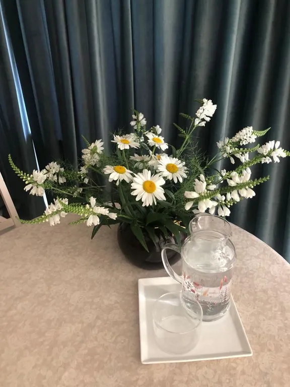 Уютная чистая студия в центре города  Нальчика  для Вас