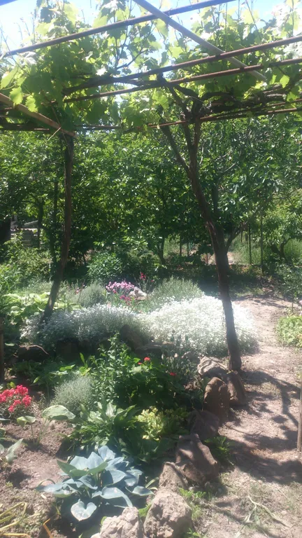 Комната с отдельным входом