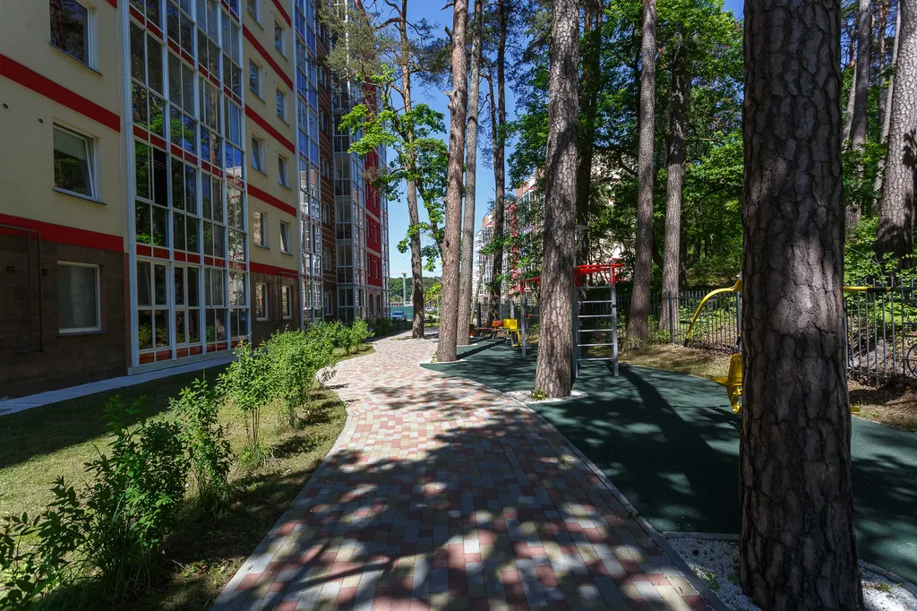 Квартира Квартира Silent lake studio apartment с видом на сосновый бор — Светлогорск