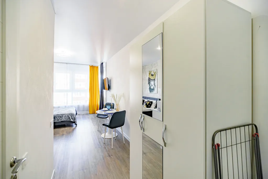 Студия Брутальный лев с панорамным видом на набережную реки