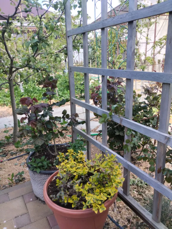 Тихое, спокойное место