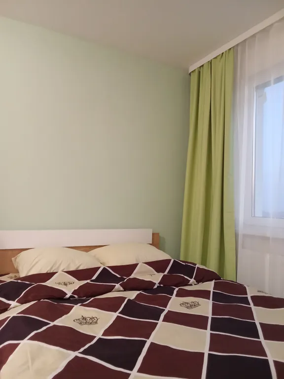 Студия у Муринской дороги