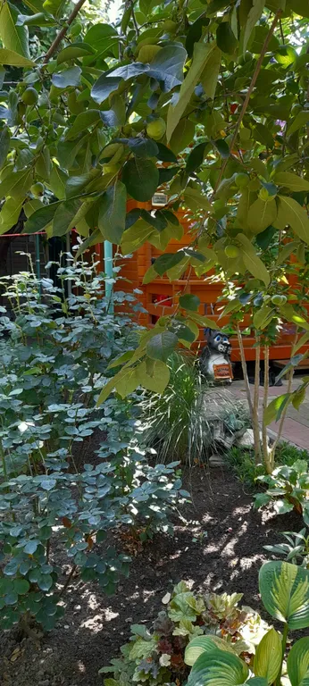 Коттедж Дом из бруса в саду — Анапа