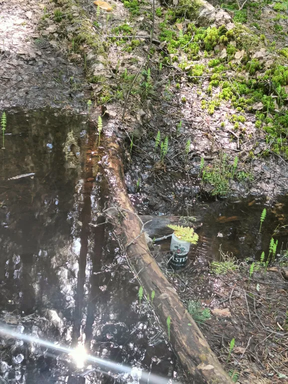 Апартаменты в коттедже на берегу озера