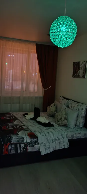 Zebra от Resident Ufa