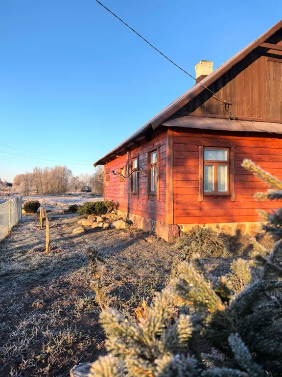 Домик-музей в Беловежской Пуще Беловежская светлица с печью и огнем