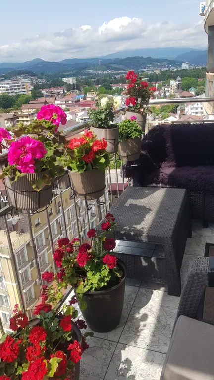 Апартаменты на берегу моря