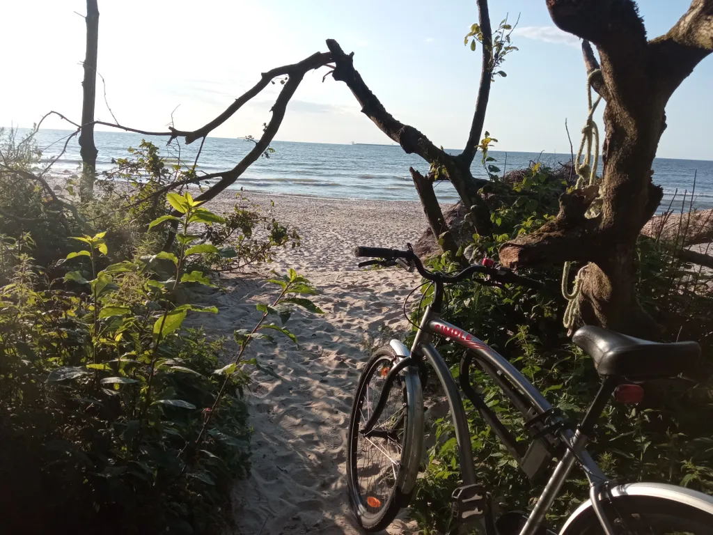 Домик Серфера