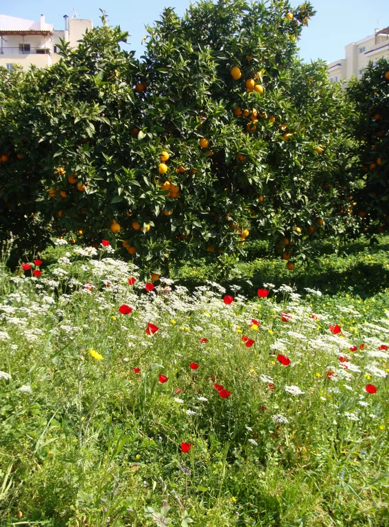 Аппартаменты в доме недалеко от моря