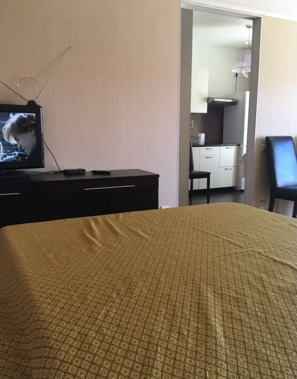 Квартира с видом на Рускеальский Экспресс и ранним заселением