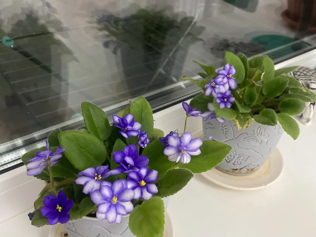 Уютная квартира для семейных пар в жк белый город