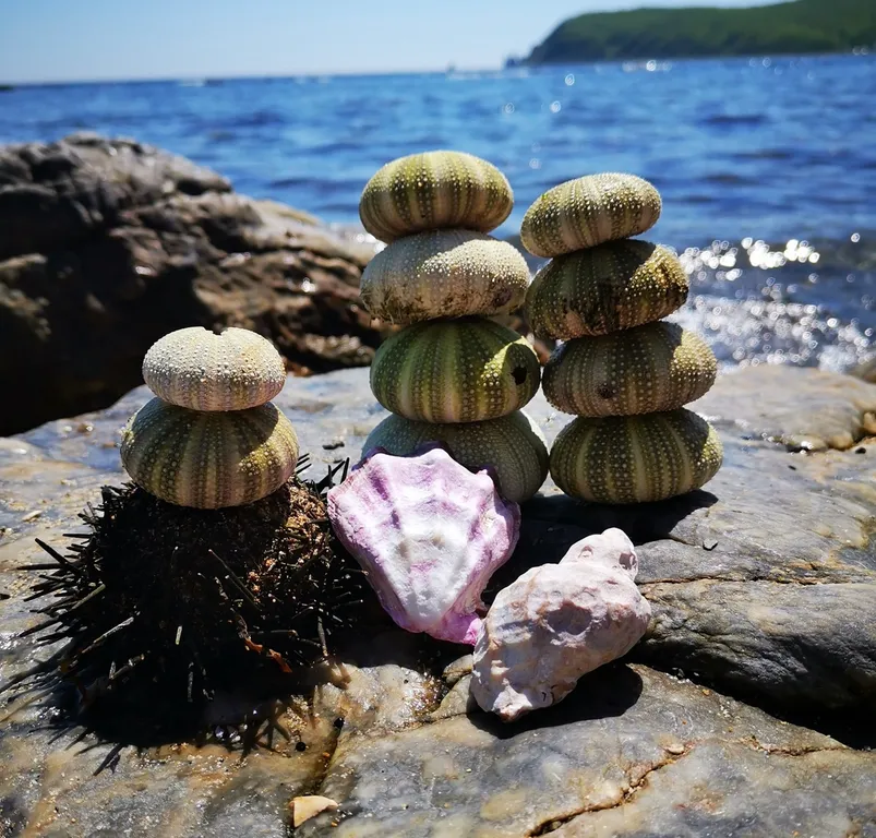 Квартира вблизи пляжа Тунгус, Читувай и ТЦ Мега Находка