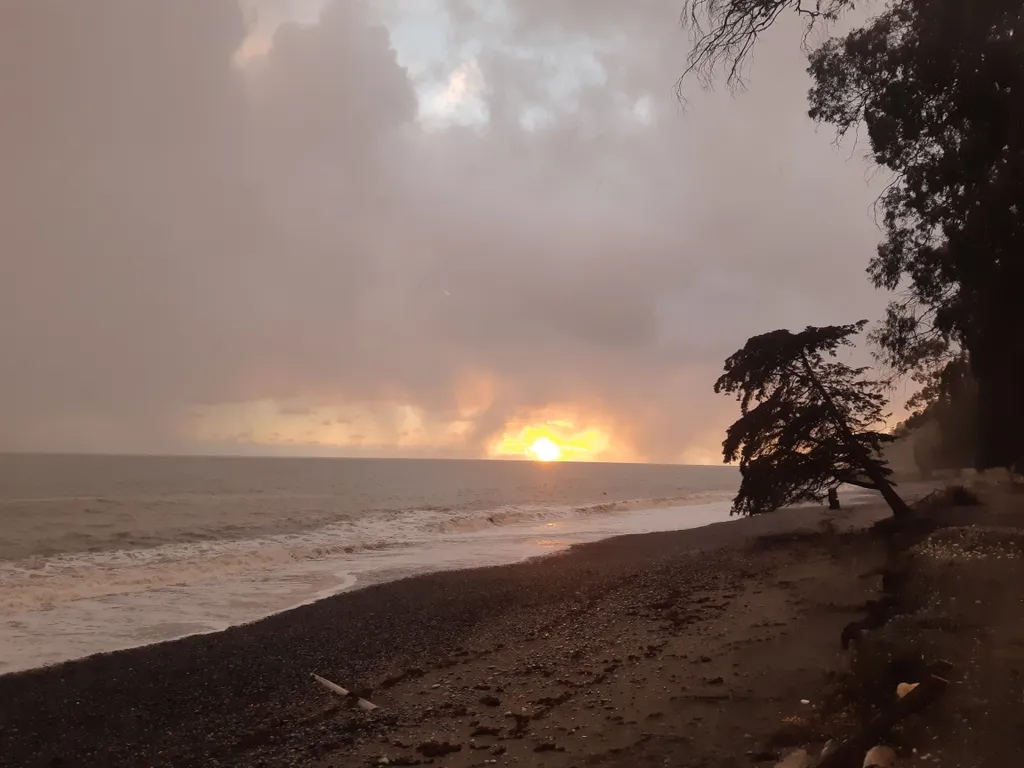 Уютные семейные апартаменты Абхазии