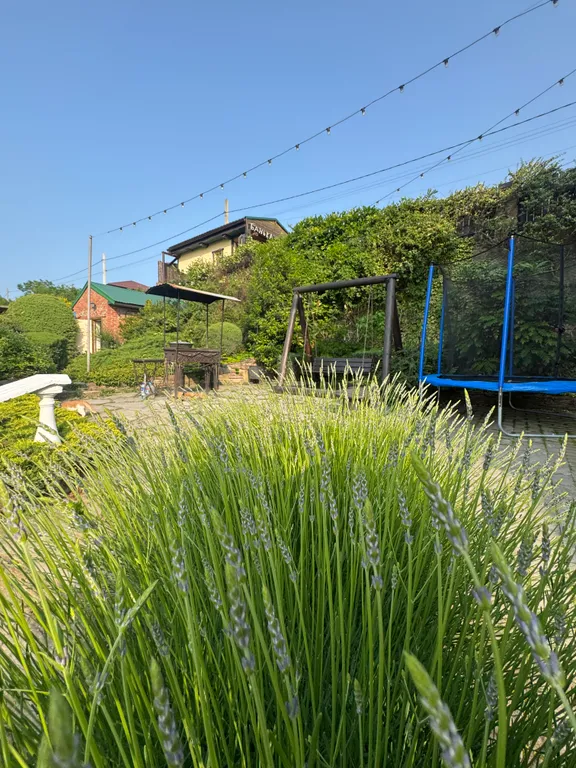 Эко домик лесника