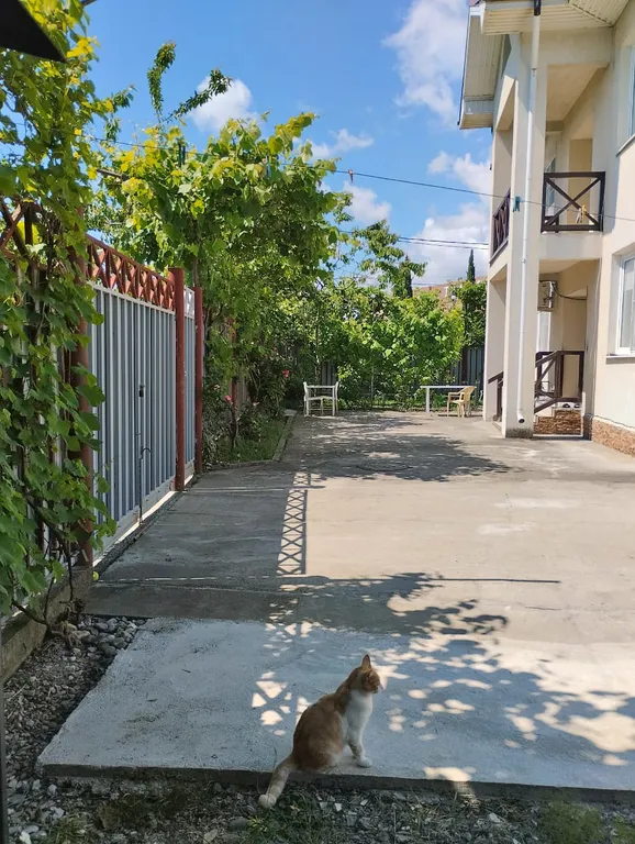 Квартира Комната — Сириус