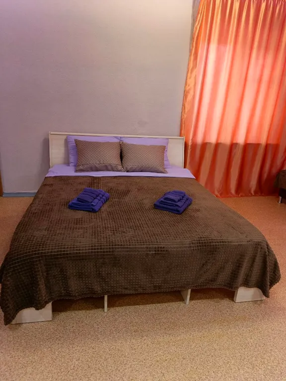 Уютная однокомнатная квартира в центре города