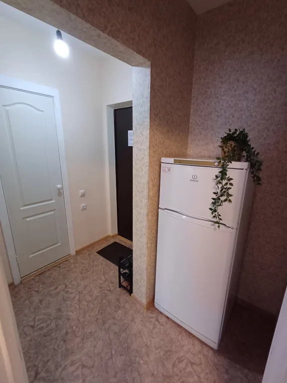 Уютные апартаменты на Бурнаковской