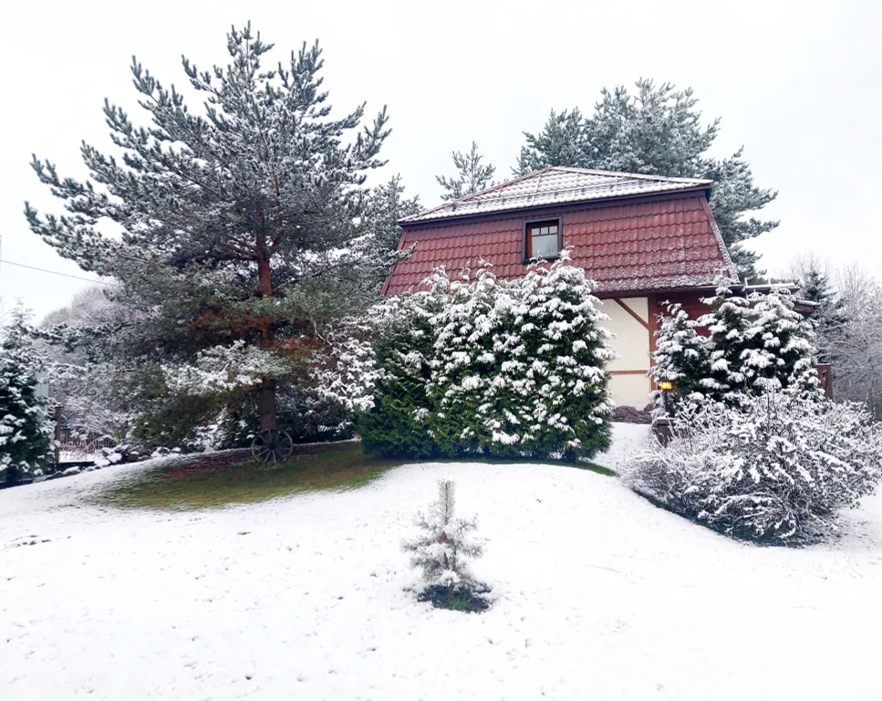 Коттедж Маленький дом большого города — Санкт-Петербург