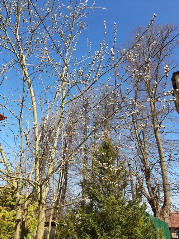 Квартира Квартира у моря — Пионерский