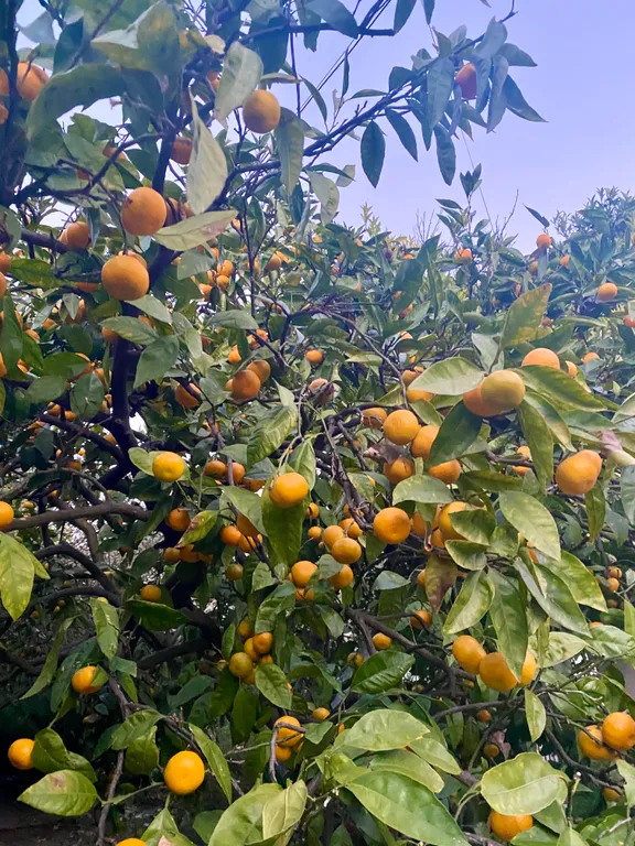 Семейная квартира с видом на горы