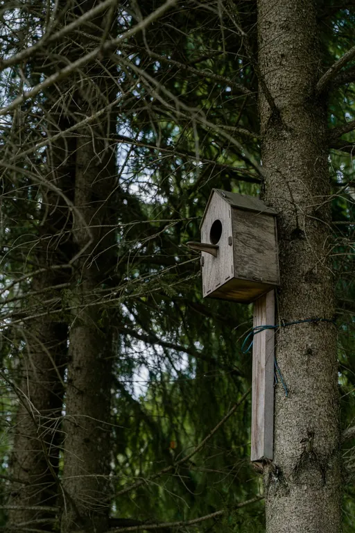 Уютный дом с сауной в лесу